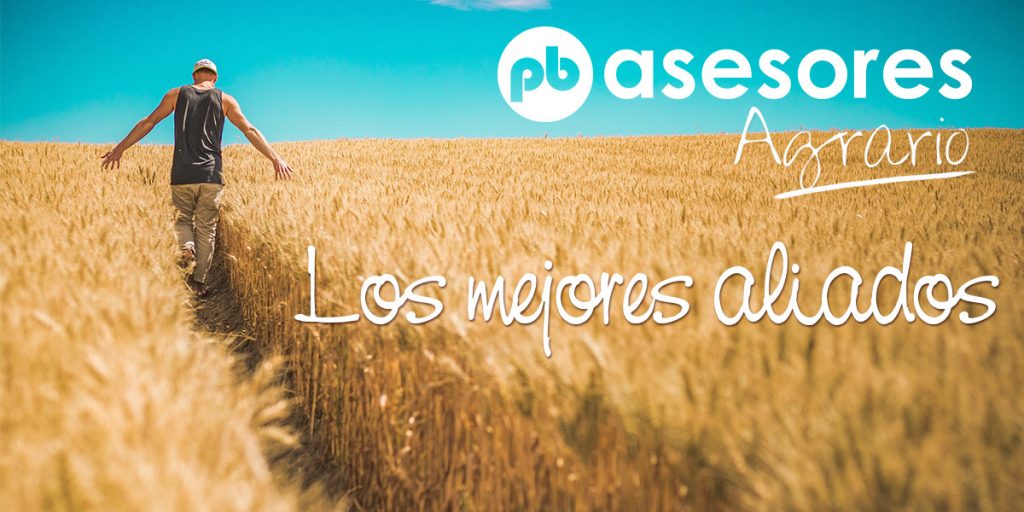 Tus aliados en el campo 4 Tus aliados en el campo noticia pbasesores 2018 12 18 1024x512 1