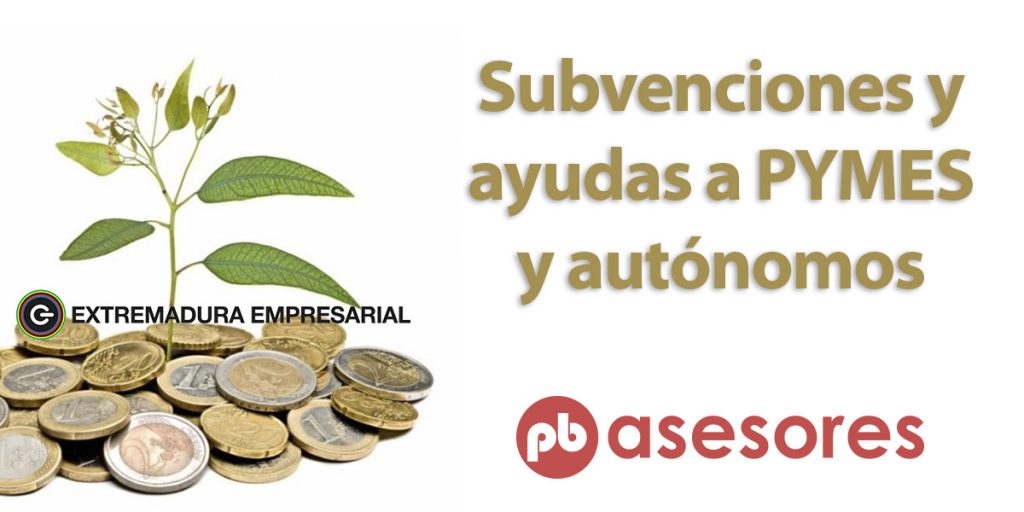 Medidas y ayudas de la Junta de Extremadura a empresas 2 Medidas y ayudas de la Junta de Extremadura a empresas pbasesores ayudas subvenciones 1024x512 1